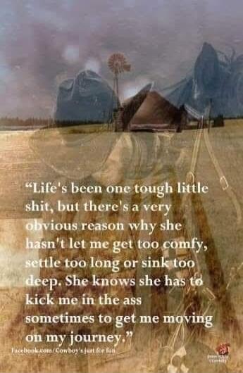 Life's been one tough little shit, but there's a very obvious reason why she hasn't let me get too comfy, settle too long or sink too deep. She knows she has to kick me in the ass sometimes to get me moving on my journey.