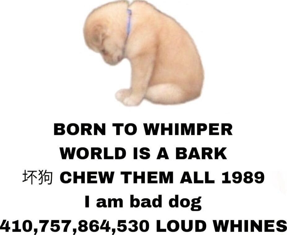 BORN TO WHIMPER WORLD IS A BARK CHEW THEM ALL 1989 1 am bad dog 410757864530 LOUD WHINES