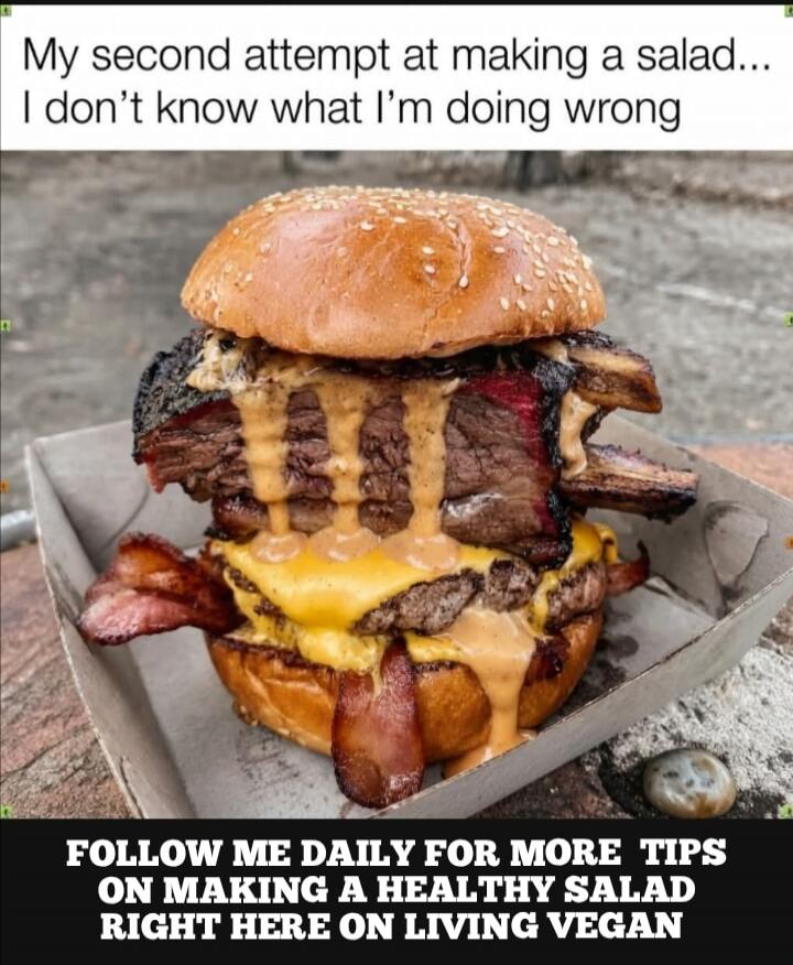 My second attempt at making a salad... I don't know what I'm doing wrong. FOLLOW ME DAILY FOR MORE TIPS ON MAKING A HEALTHY SALAD RIGHT HERE ON LIVING VEGAN