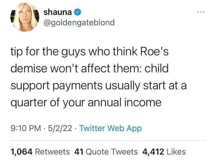 7 shauna goldengateblond tip for the guys who think Roes demise wont affect them child support payments usually start at a quarter of your annual income 910 PM 5222 Twitter Web App 1064 Retweets 41 Quote Tweets 4412 Likes