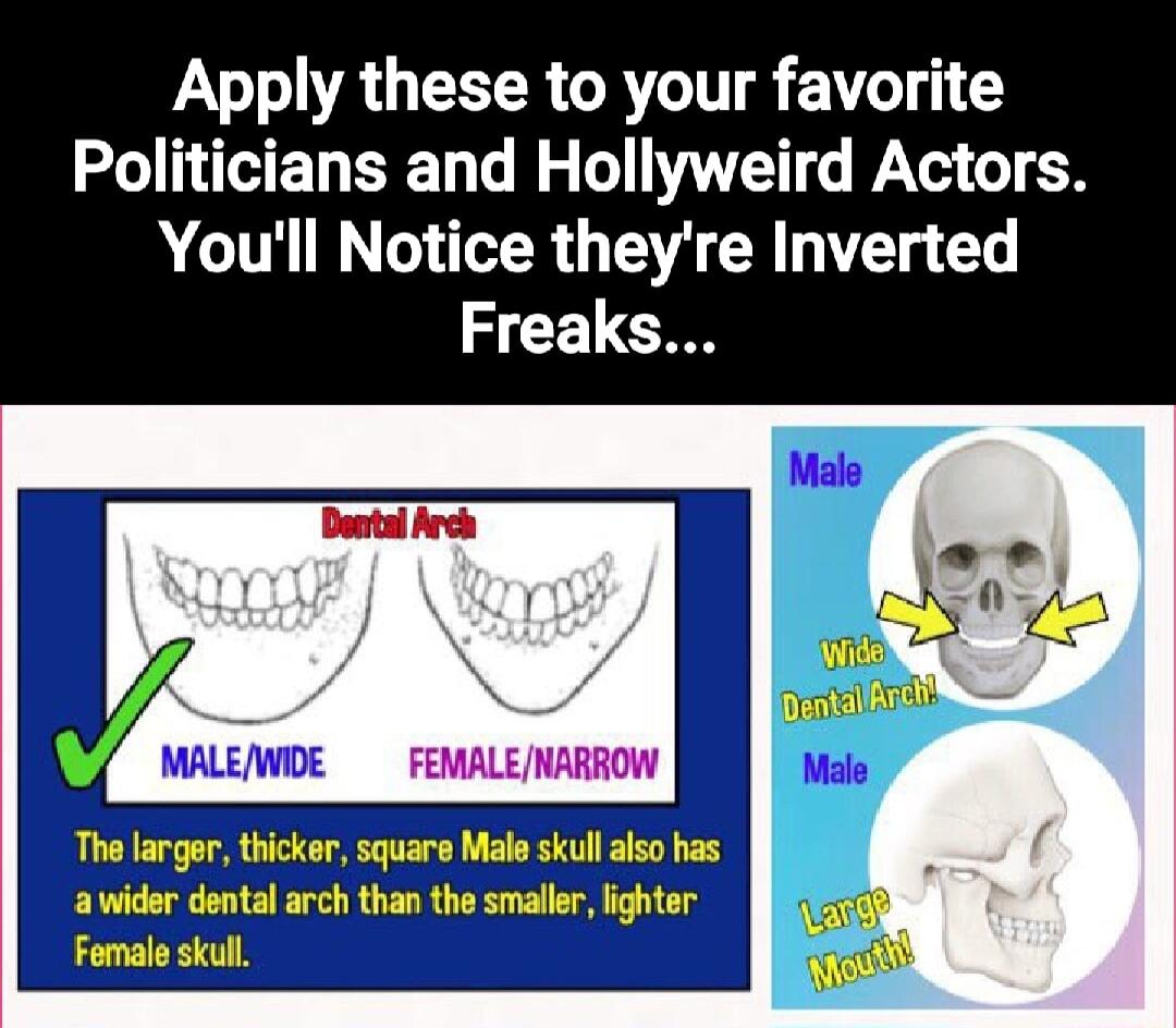 PN 7oA TR VT Politicians and Hollyweird Actors Youll Notice theyre Inverted Freaks
