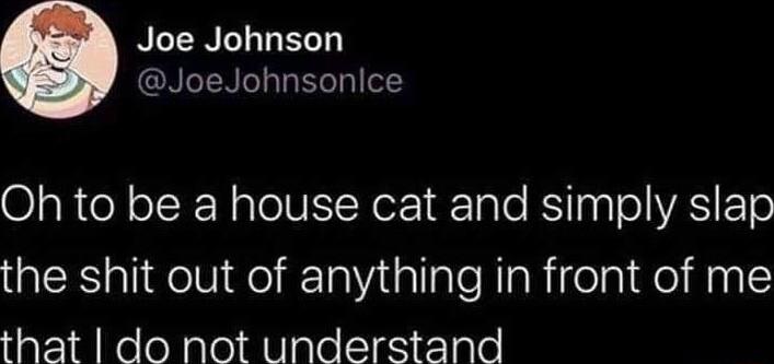 RLENELLELD NTNoaTa el gl o O s R e oIF N pleINIINor Tale Y103 Vo VAS ETe QEXSlidelVigelETailallaleRaRifelniql AN IE that do not understand