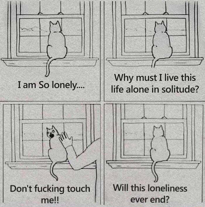 Will this loneliness ever end