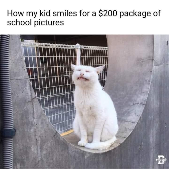 How my kid smiles for a 200 package of school pictures W