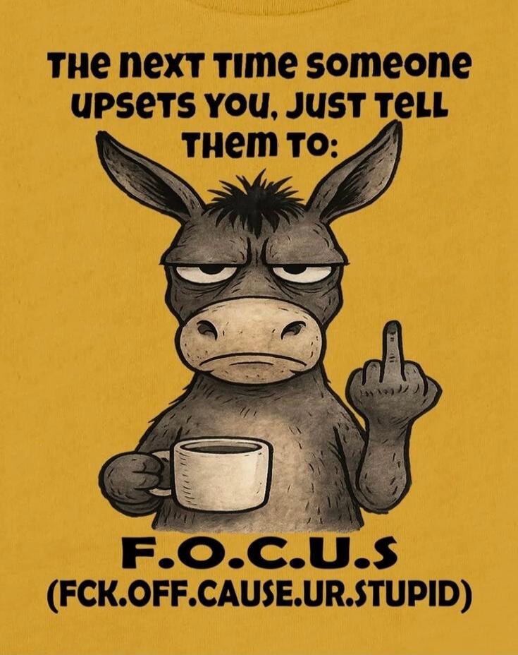 The next time someone upsets you, just tell them to: F.O.C.U.S (FCK.OFF.CAUSE.UR.STUPID)