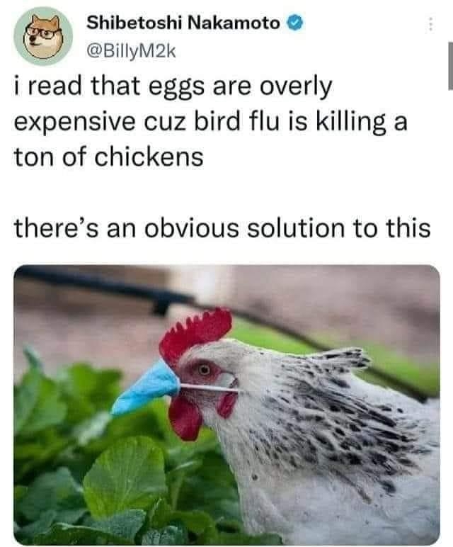 Shibetoshi Nakamoto BillyM2k i read that eggs are overly expensive cuz bird flu is killing a ton of chickens theres an obvious solution to this 305PM 12 Jan 23