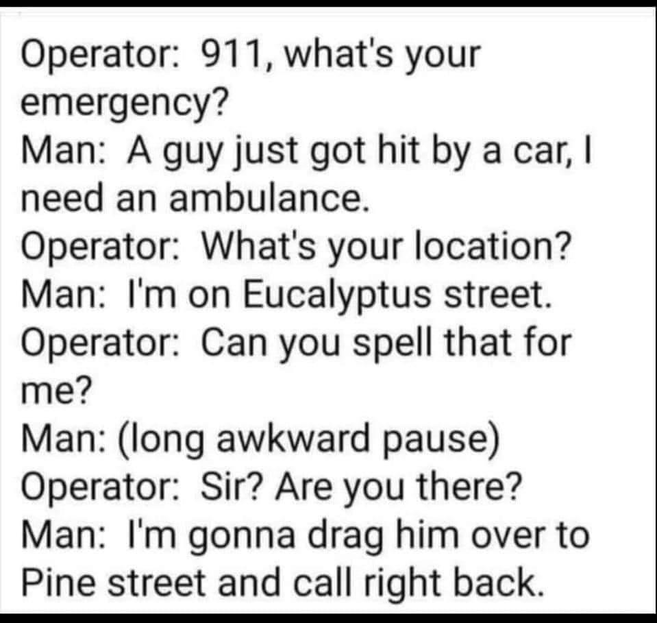 Operator 911 whats your emergency Man A guy just got hit by a car need an ambulance Operator Whats your location Man Im on Eucalyptus street Operator Can you spell that for me Man long awkward pause Operator Sir Are you there Man Im gonna drag him over to Pine street and call right back