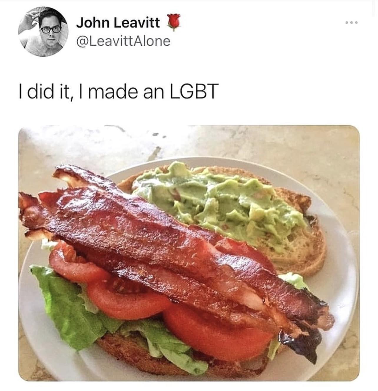 E John Leavitt v LeavittAlone did it made an LGBT