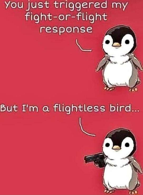 But Im a flightless bird L