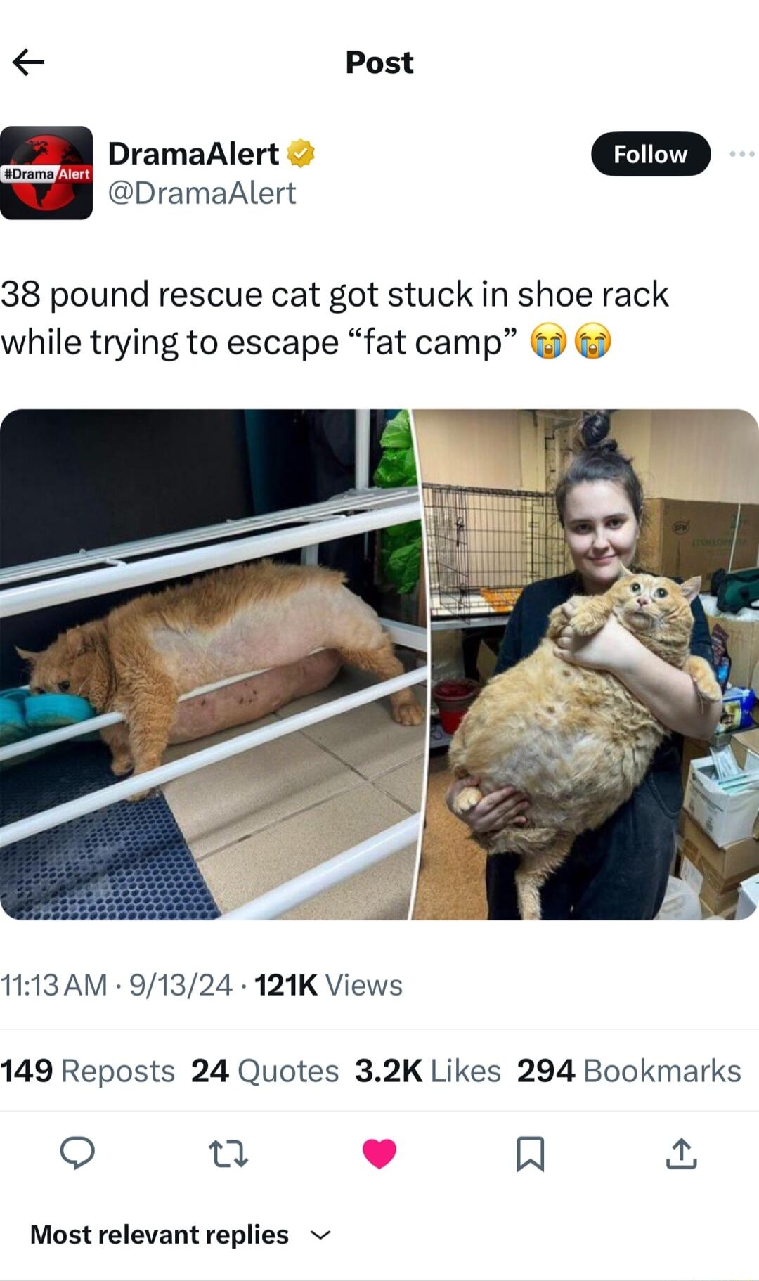 Post S DramaAlert w DramaAlert 38 pound rescue cat got stuck in shoe rack while trying to escape fat camp 1113AM 91324 121K Views 149 Reposts 24 Quotes 32K Likes 294 Bookmarks o Q Al Most relevant replies