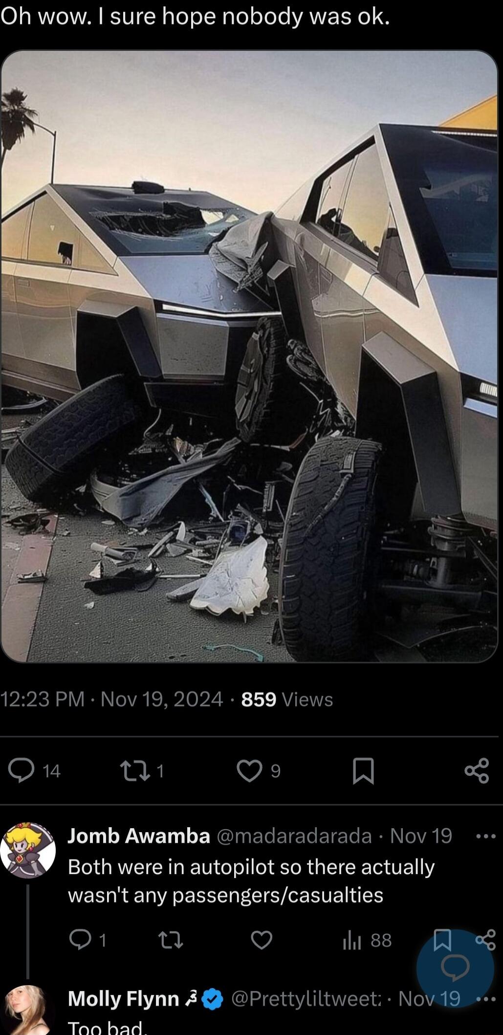 Oh wow sure hope nobody was ok 1223 PM Nov 19 2024 859 Views Ou VE IN Jomb Awamba madaradarada Nov 19 Both were in autopilot so there actually wasnt any passengerscasualties o1 u o hi s Anad Molly Flynn 3 Prettyliltweet Nov19 Y Thn had