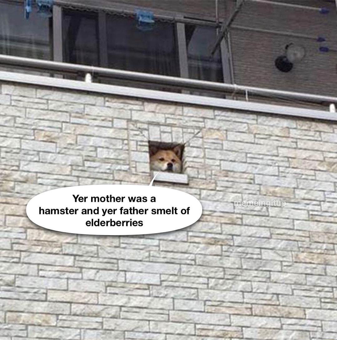 Yer mother was a hamster and yer father smelt of elderberries