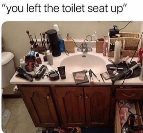 you left the toilet seat up