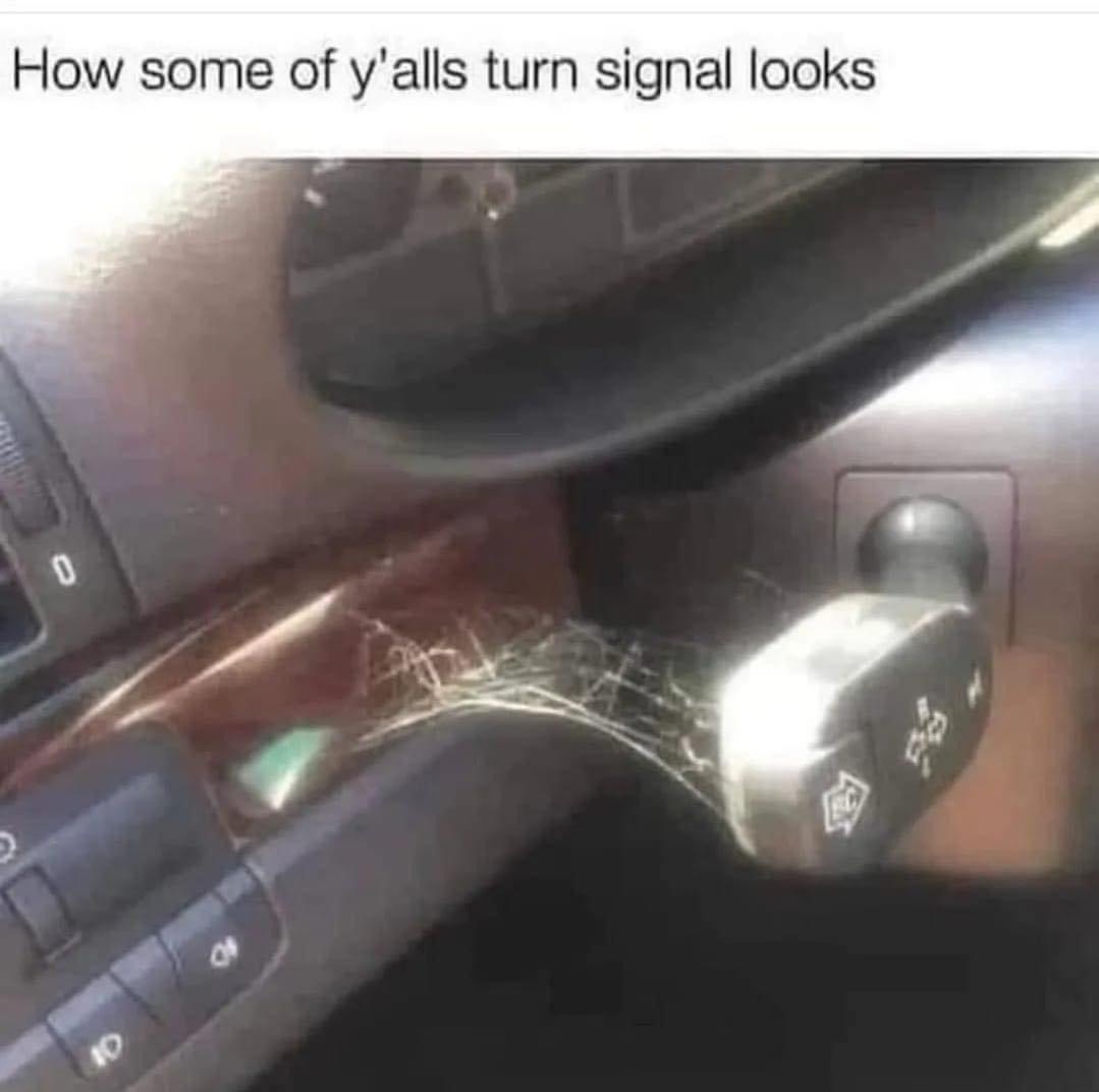 How some of yalls turn signal looks