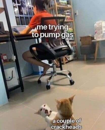 me trying to pump gas a couple of crackheads