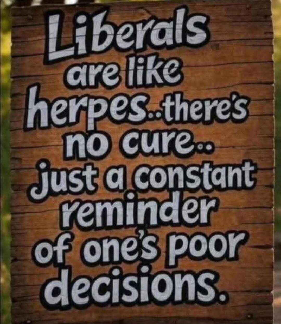 Liberals are like herpes... there's no cure... just a constant reminder of one's poor decisions.