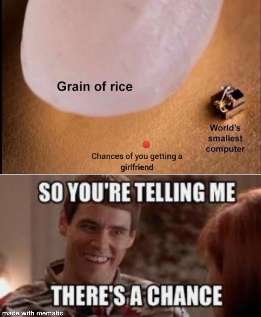 Grain of rice SO YOURE TELLING ME TIIEII X H173