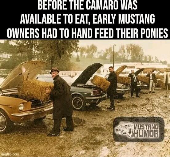 BEFORE THE CAMARO WAS AVAILABLE TO EAT, EARLY MUSTANG OWNERS HAD TO HAND FEED THEIR PONIES