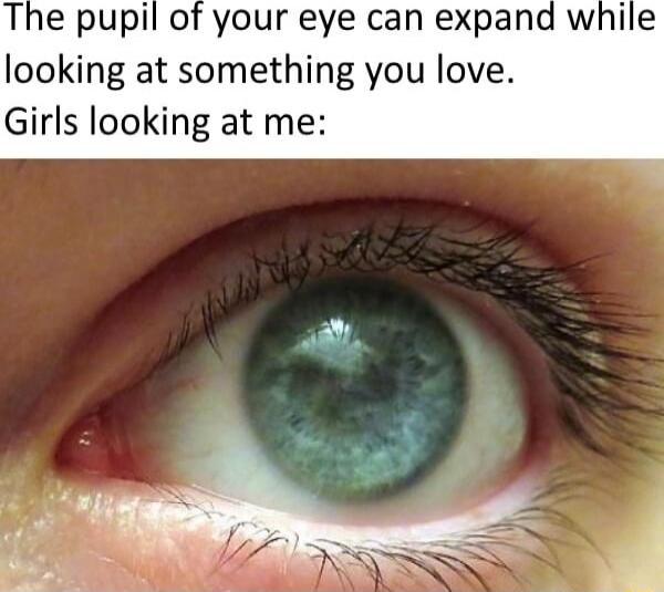 The pupil of your eye can expand while looking at something you love. Girls looking at me: