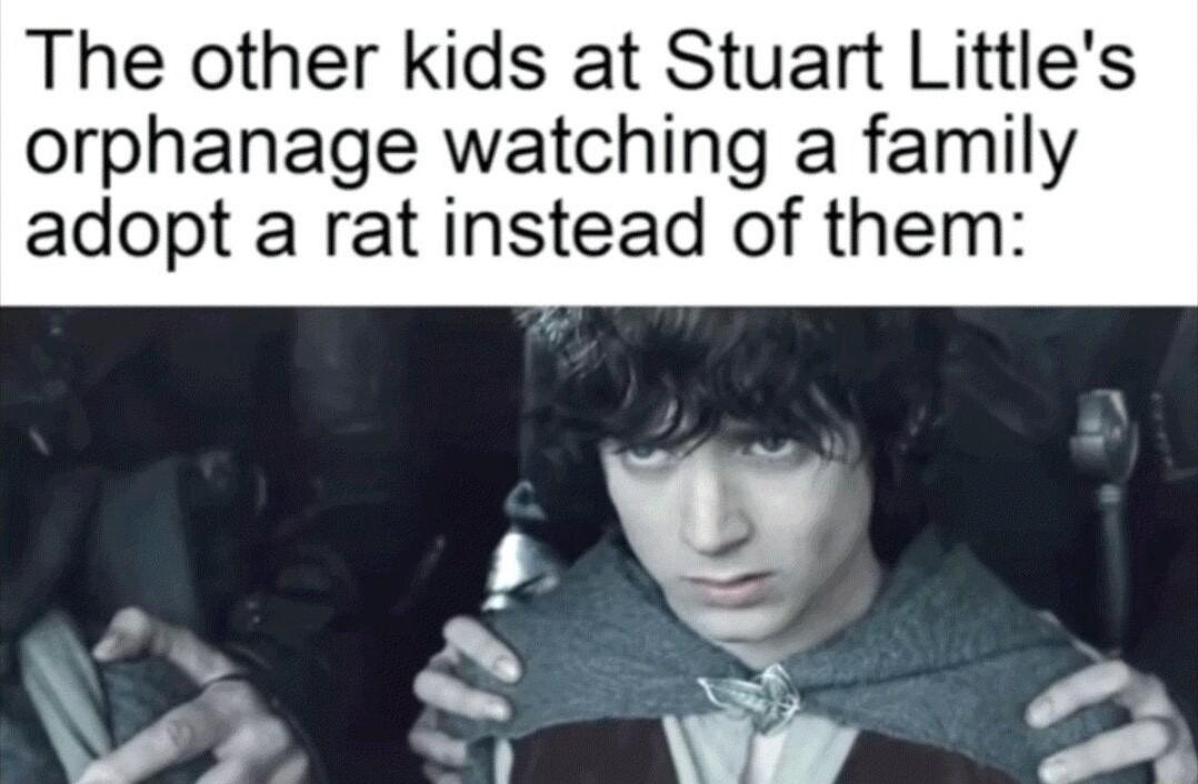 The other kids at Stuart Littles orphanage watching a family adopt a rat instead of them