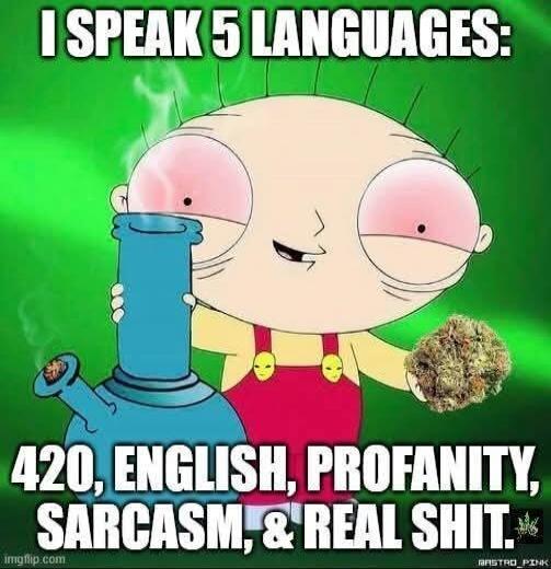 I SPEAK 5 LANGUAGES: 420, ENGLISH, PROFANITY, SARCASM, & REAL SHIT.