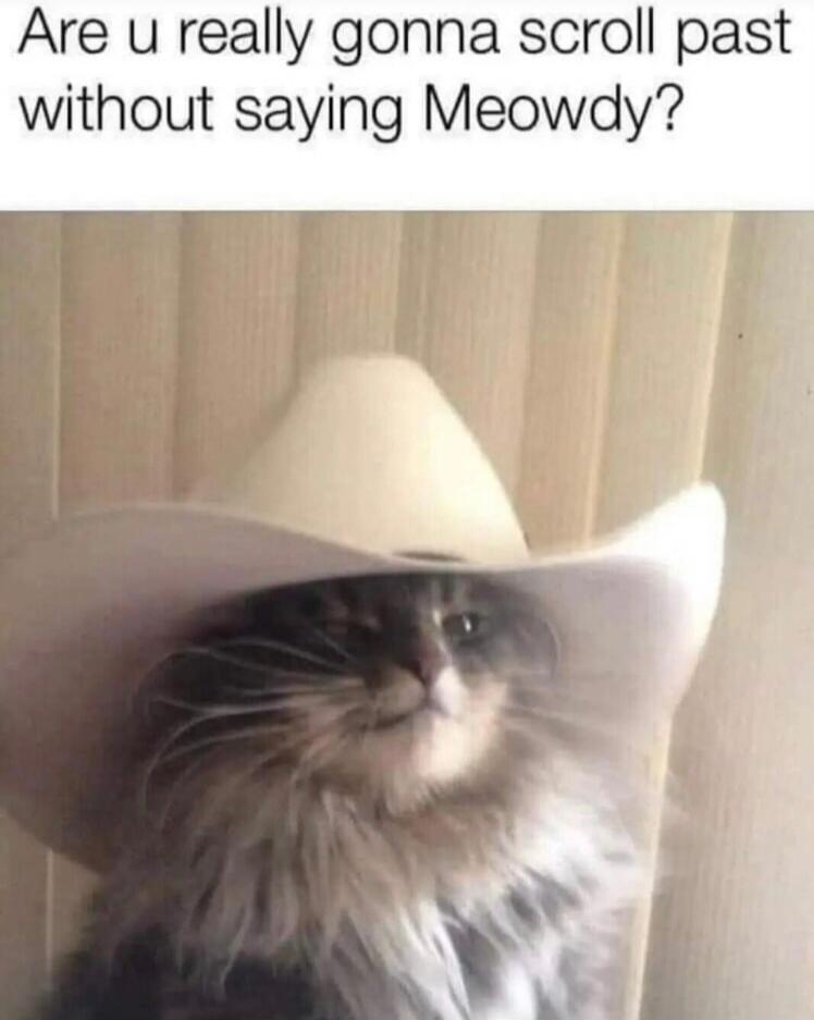 Are u really gonna scroll past without saying Meowdy?
