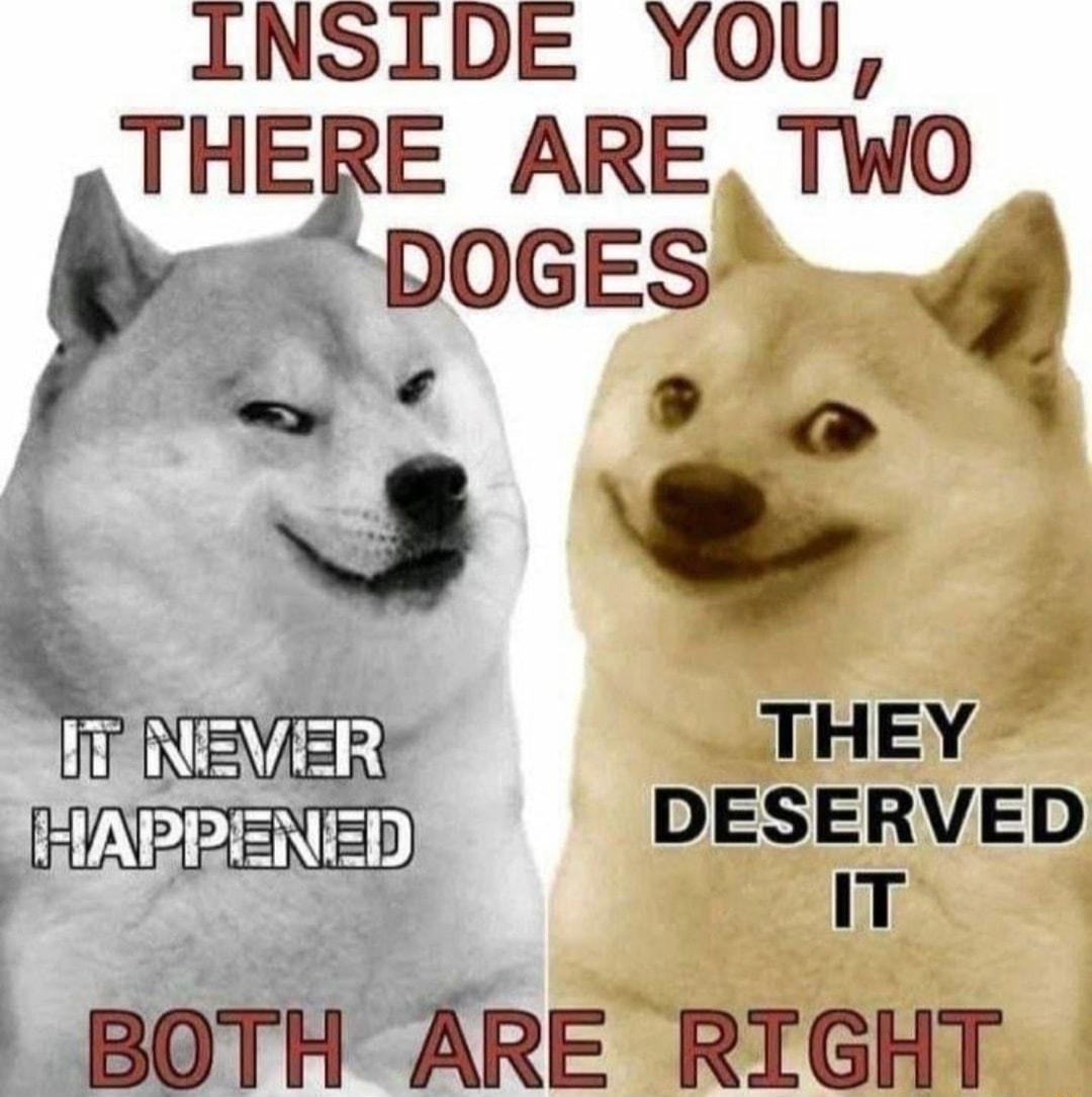 INSIDE YOU THEBE ARE TWO DOGES Ve BYER THEY 4 NERENED DESERVED IT BOTH ARE RIGHT
