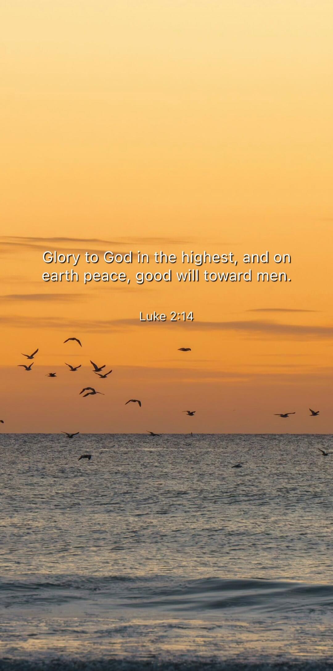 Glory to God in the highest, and on earth peace, good will toward men. Luke 2:14