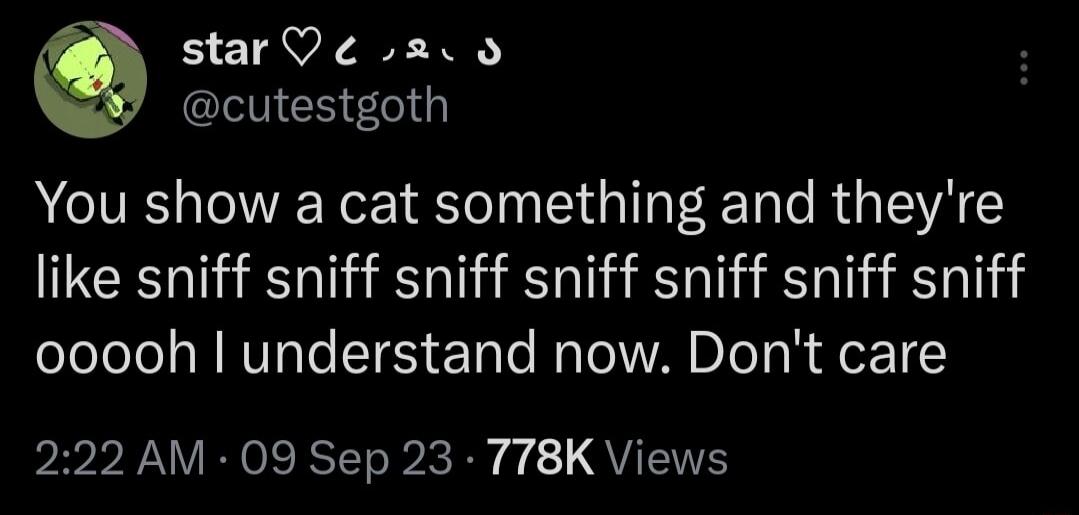 B TAVEAPE TR ES You show a cat something and theyre like sniff sniff sniff sniff sniff sniff sniff ooooh understand now Dont care PR R R Rl o4 QU