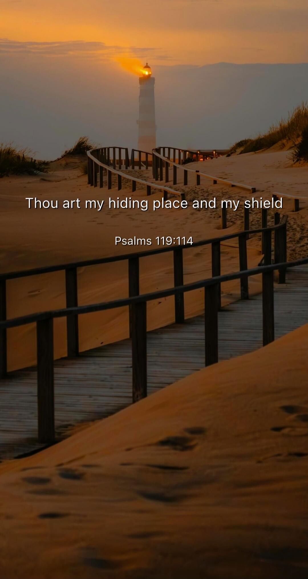 Thou art my hiding place and my shield
Psalms 119:114