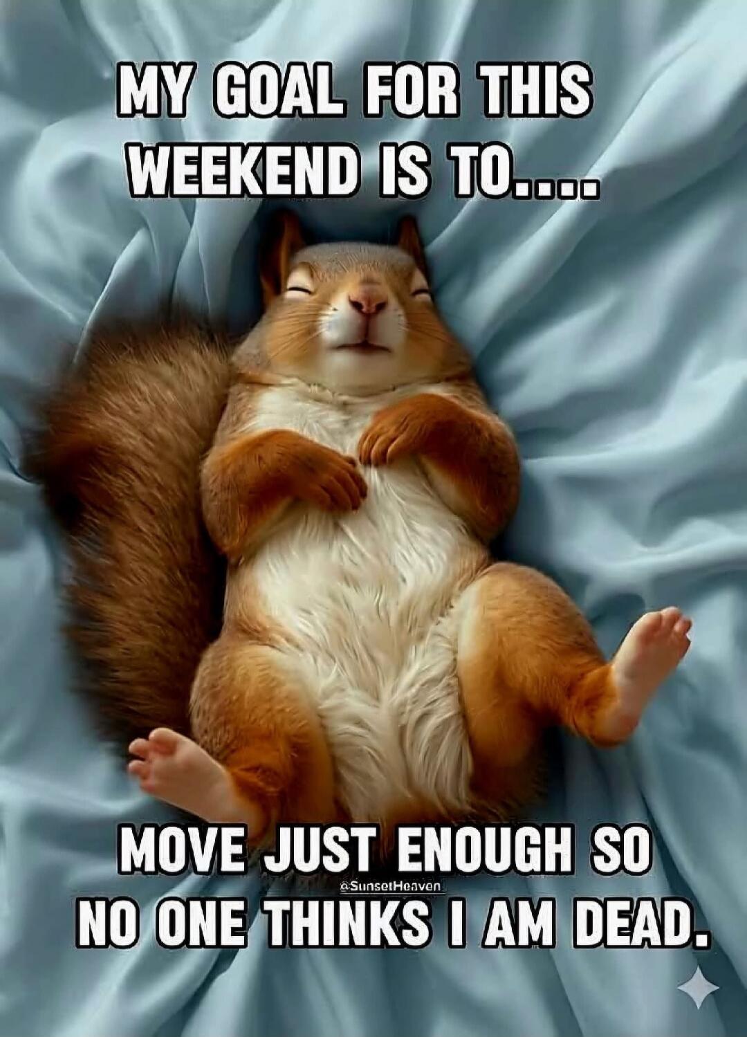 MY GOAL FOR THIS WEEKEND IS TO.... MOVE JUST ENOUGH SO NO ONE THINKS I AM DEAD. @SunsetHeaven