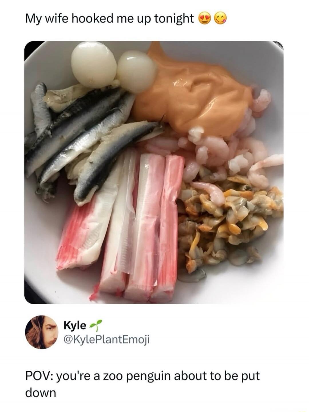 My wife hooked me up tonight 😍😘

POV: you're a zoo penguin about to be put down