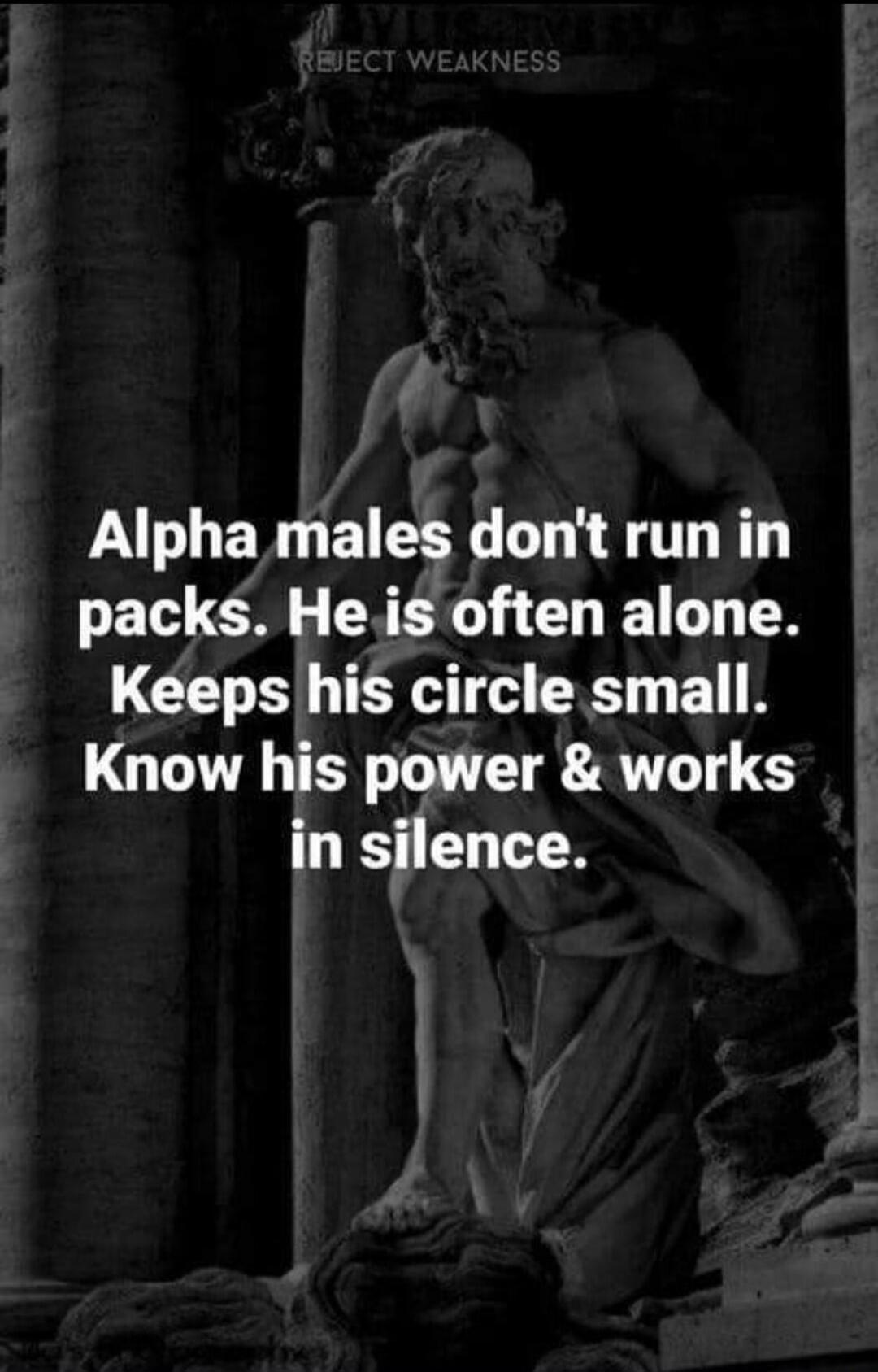 REJECT WEAKNESS Alpha males don't run in packs. He is often alone. Keeps his circle small. Know his power & works in silence.