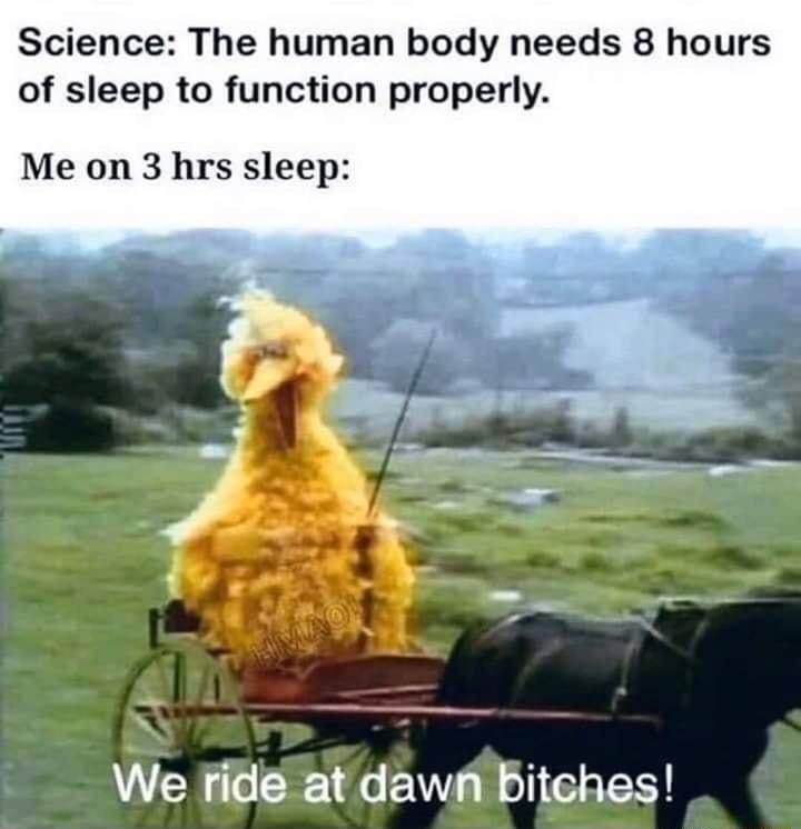 Science The human body needs 8 hours of sleep to function properly Me on 3 hrs sleep We Fitle at dawd Bitches