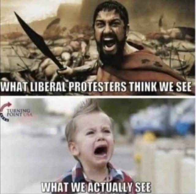 WHAT LIBERAL PROTESTERS THINK WE SEE
WHAT WE ACTUALLY SEE
