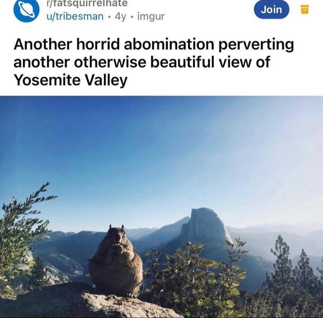 Mirroate Q o L sman 4y imgu W U Another horrid abomination perverting another otherwise beautiful view of Yosemite Valley et S