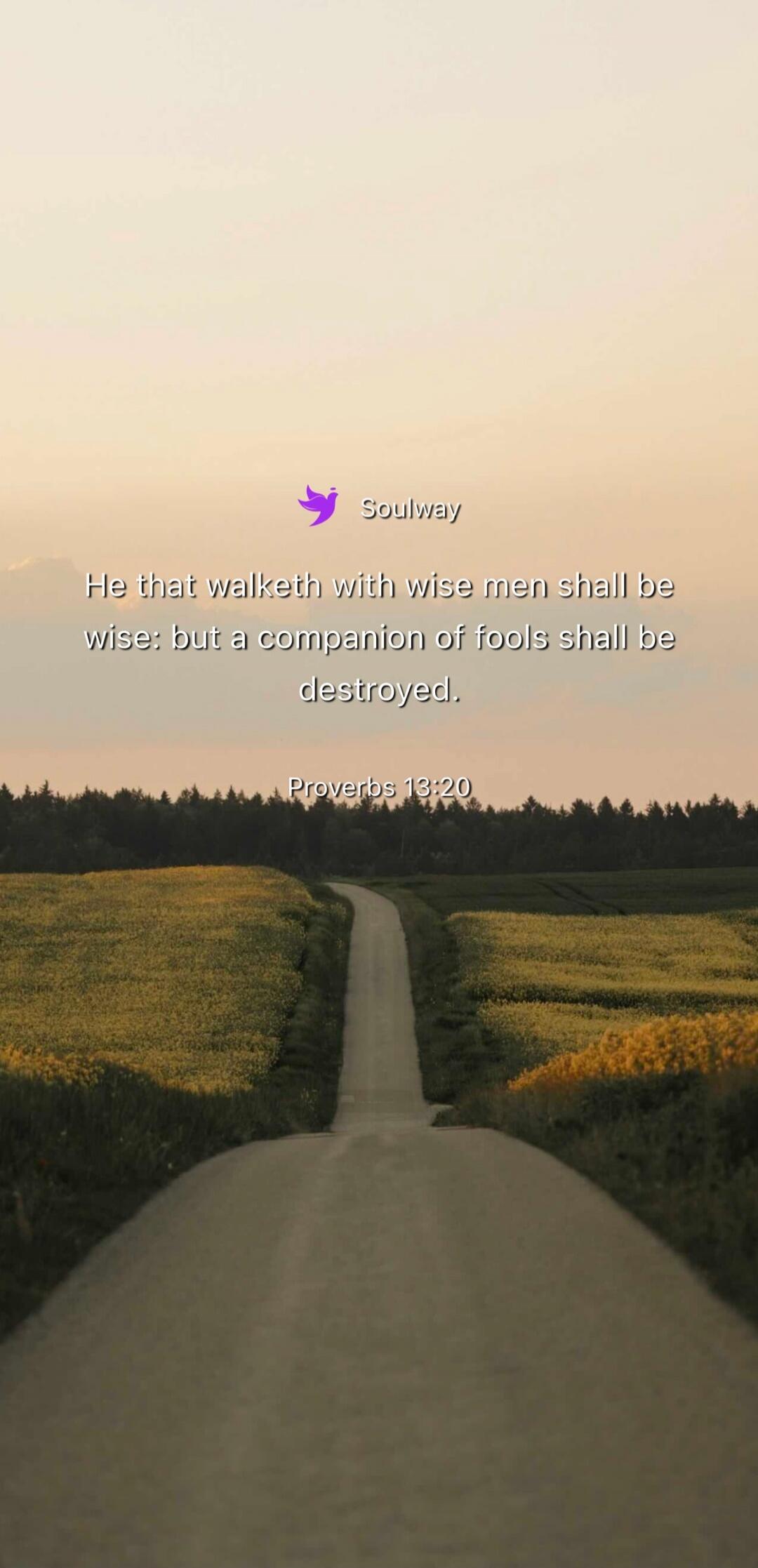 Soulway He that walketh with wise men shall be wise: but a companion of fools shall be destroyed. Proverbs 13:20
