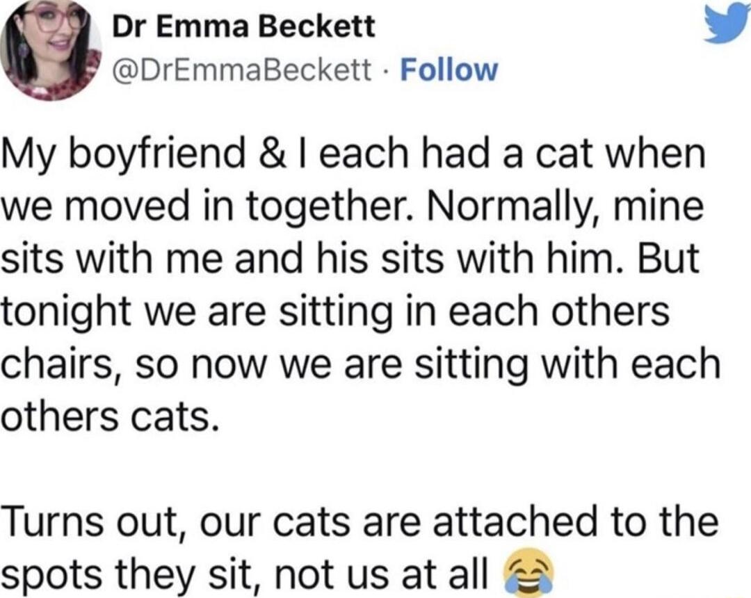 a Dr Emma Beckett DrEmmaBeckett Follow My boyfriend each had a cat when we moved in together Normally mine sits with me and his sits with him But tonight we are sitting in each others chairs so now we are sitting with each others cats Turns out our cats are attached to the spots they sit not us at all 22