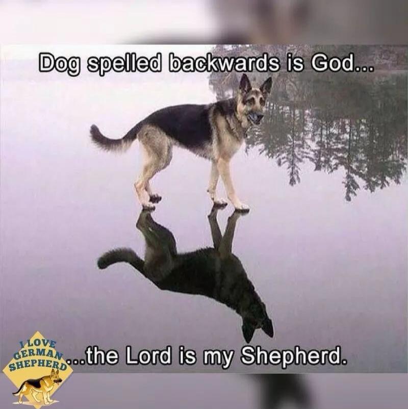 Dog spelled backwards is God... the Lord is my Shepherd.