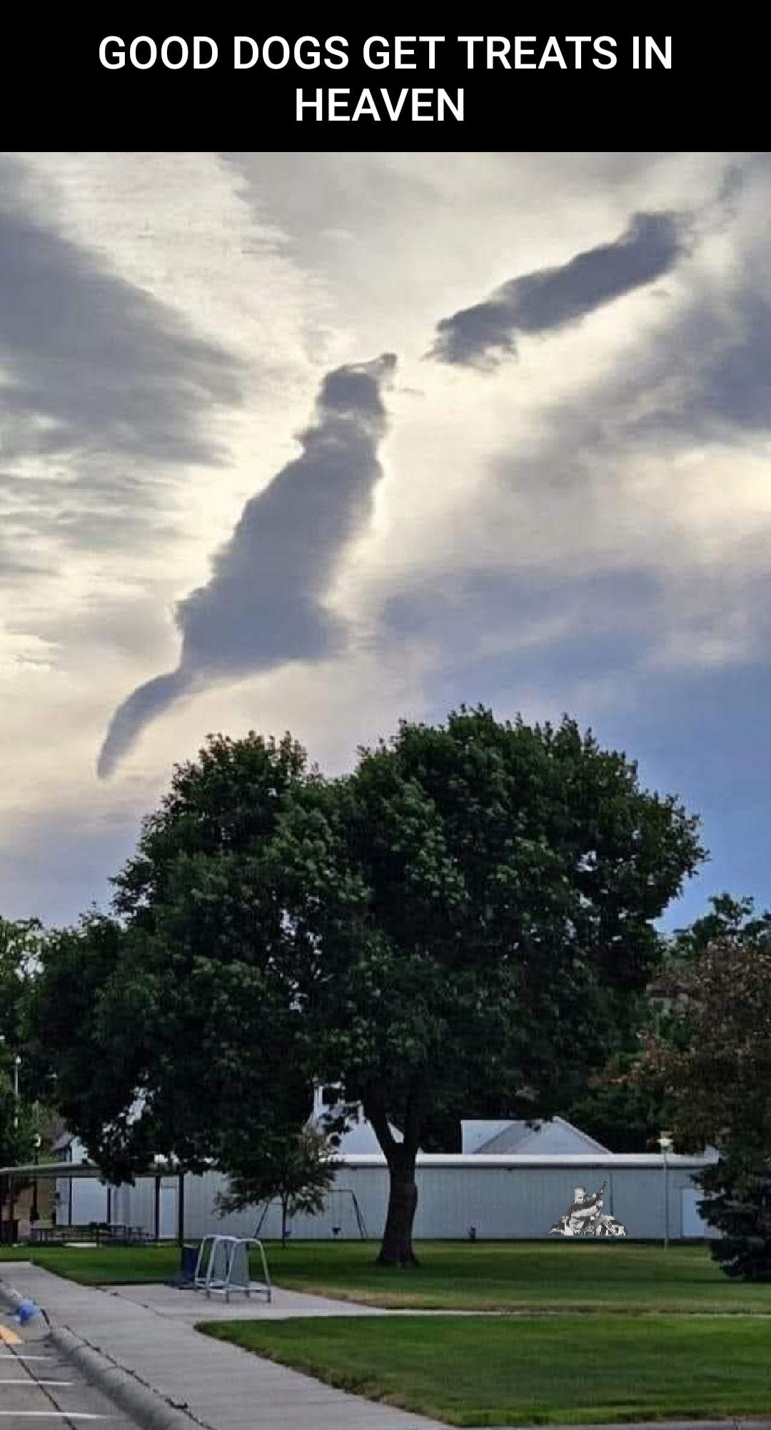 GOOD DOGS GET TREATS IN HEAVEN