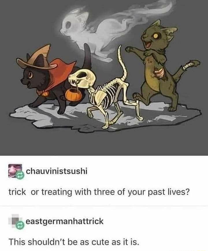 chauvinistsushi trick or treating with three of your past lives beasgermanhatrick This shouldnt be as cute as it is