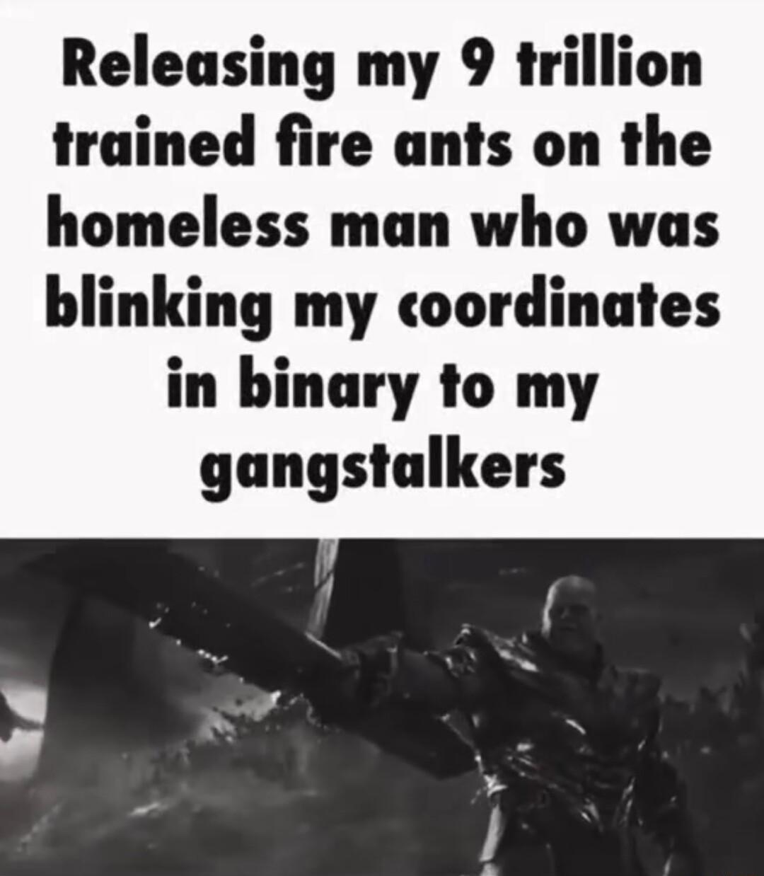 Releasing my 9 trillion trained fire ants on the homeless man who was blinking my coordinates in binary to my gangstalkers