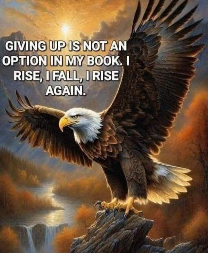 GIVING UP IS NOT AN OPTION IN MY BOOK. I RISE, I FALL, I RISE AGAIN.