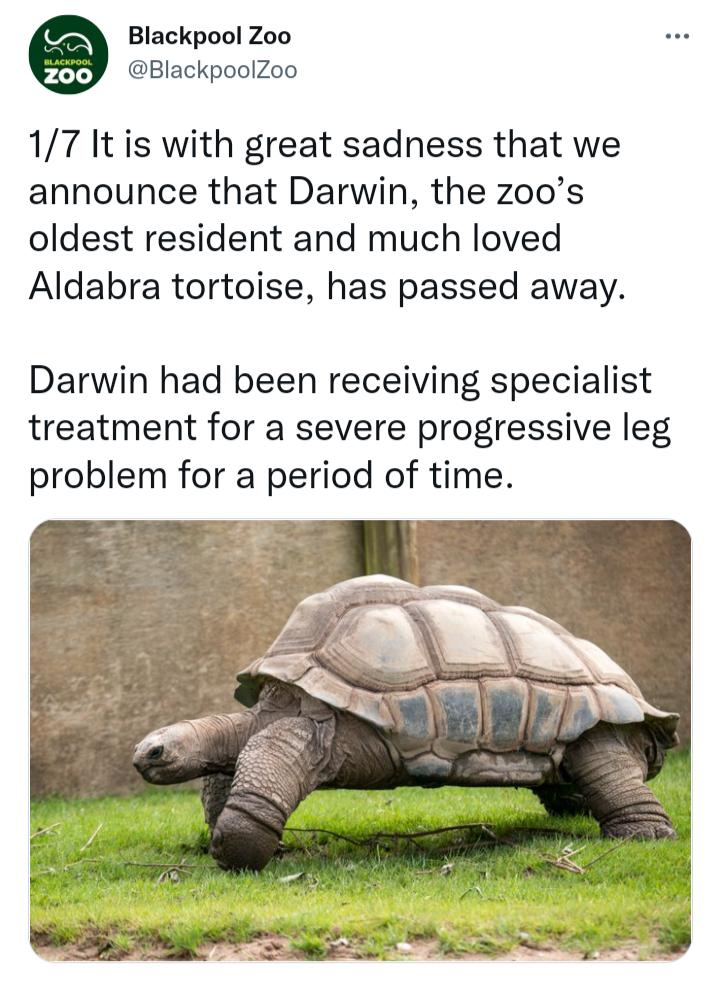 Blackpool Zoo BlackpoolZoo 17 It is with great sadness that we announce that Darwin the zoos oldest resident and much loved Aldabra tortoise has passed away Darwin had been receiving specialist treatment for a severe progressive leg problem for a period of time