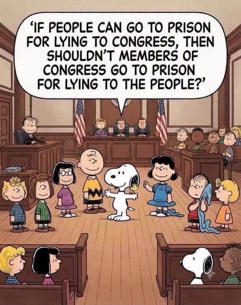 IF PEOPLE CAN GO TO PRISON FOR LYING TO CONGRESS, THEN SHOULDN'T MEMBERS OF CONGRESS GO TO PRISON FOR LYING TO THE PEOPLE?