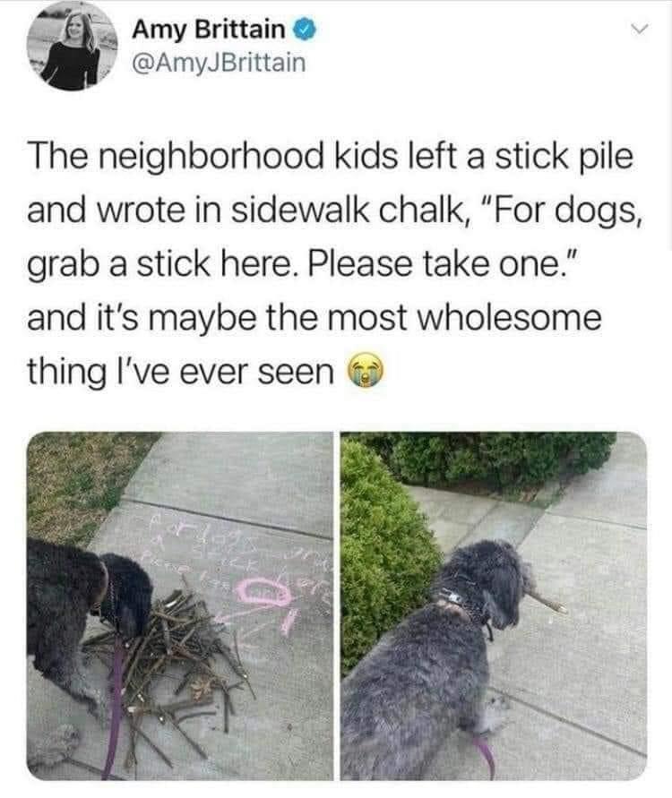 Amy Brittain 2 AmyJBrittain The neighborhood kids left a stick pile and wrote in sidewalk chalk For dogs grab a stick here Please take one and its maybe the most wholesome thing Ive ever seen