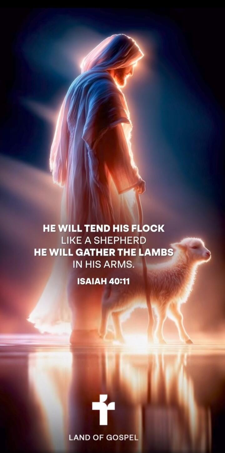 HE WILL TEND HIS FLOCK LIKE A SHEPHERD HE WILL GATHER THE LAMBS IN HIS ARMS. ISAIAH 40:11