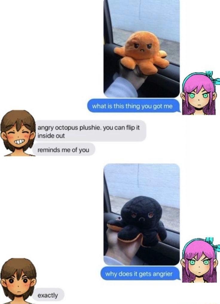 angry octopus plushie you can flip it inside out reminds me of you exactly