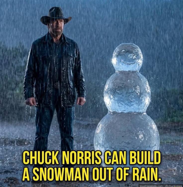 CHUCK NORRIS CAN BUILD A SNOWMAN OUT OF RAIN.