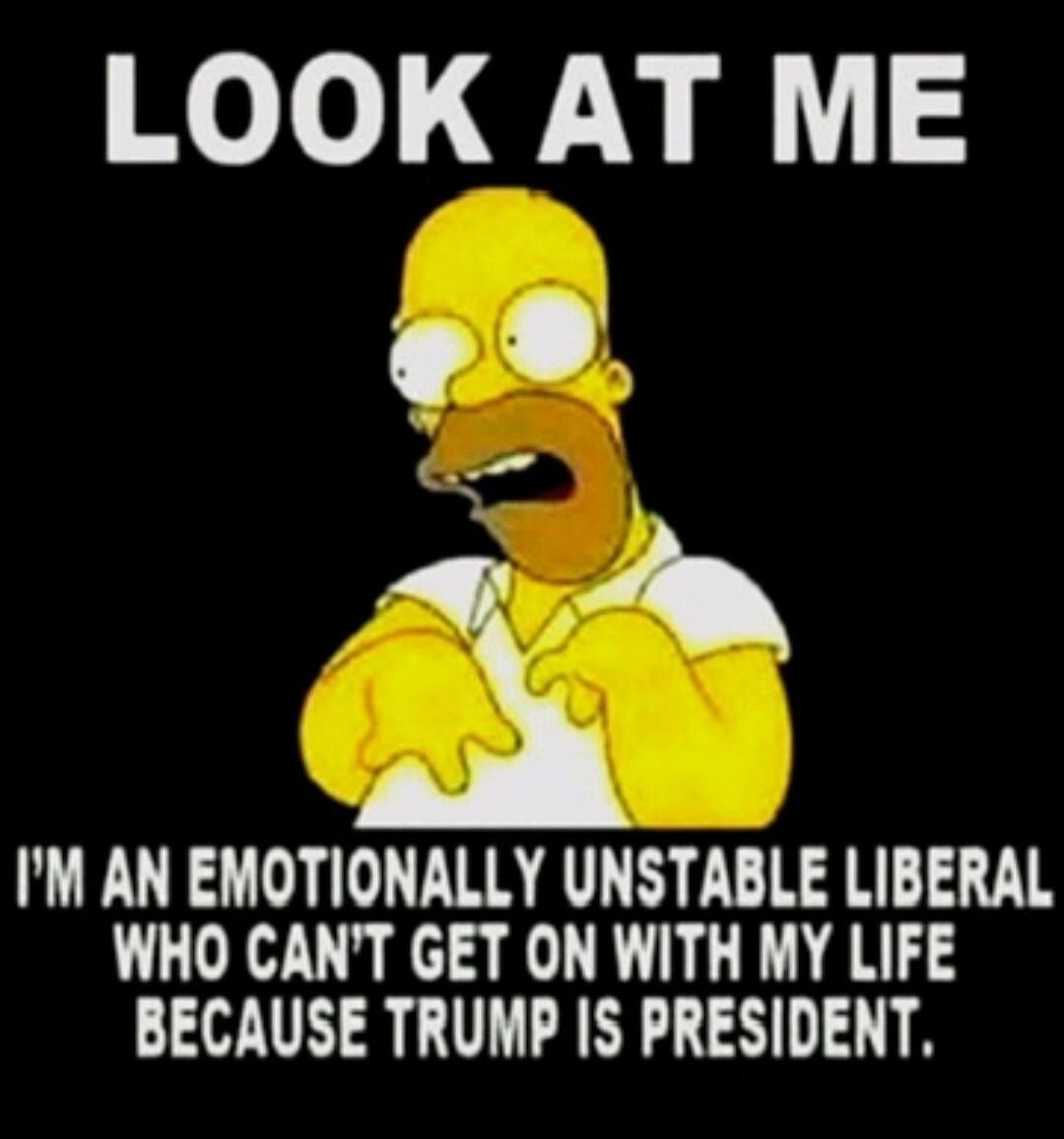 LOOK AT ME I'M AN EMOTIONALLY UNSTABLE LIBERAL WHO CAN'T GET ON WITH MY LIFE BECAUSE TRUMP IS PRESIDENT.